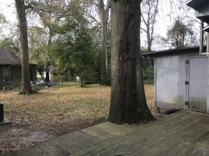 210 Burk Backyard