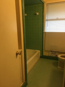 220 Ellington Bathroom